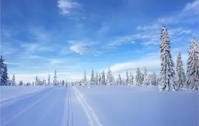 a snow covered road with snow covered trees in a field at Amazing Home In Sjusjøen With Sauna in Sjusjøen