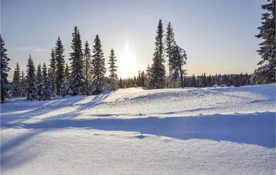 a snow covered hill with trees and the sun in the background at Lovely Home In Lillehammer With Kitchen in Lillehammer
