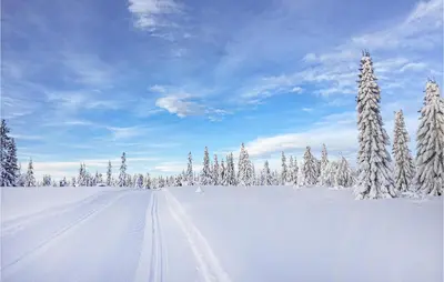 a snow covered field with snow covered trees and a road at 4 Bedroom Beautiful Home In Sjusjøen in Sjusjøen