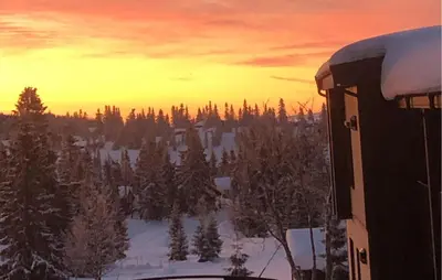 a view of a snow covered forest at sunset at Leil 70 in Sjusjøen