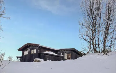 a large wooden house in the snow with trees at Stunning Home In Uvdal With Wifi in Uvdal