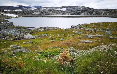 a field of grass with a body of water at 1 Bedroom Nice Home In Geilo in Geilo