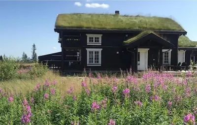 a house with a grass roof with a field of flowers at 4 Bedroom Awesome Home In Eggedal in Eggedal