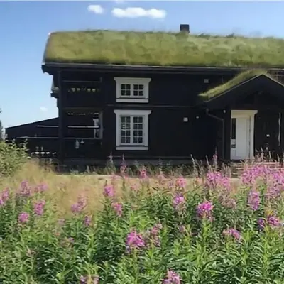 4 Bedroom Awesome Home In Eggedal