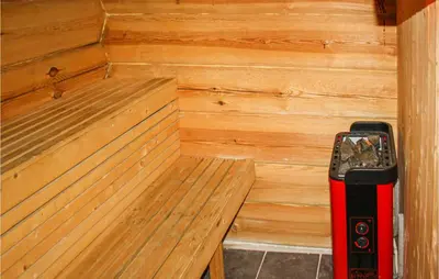 a sauna with a wood paneled wall and a fire extinguisher at Cozy Home In Hovden I Setesdal in Hovden
