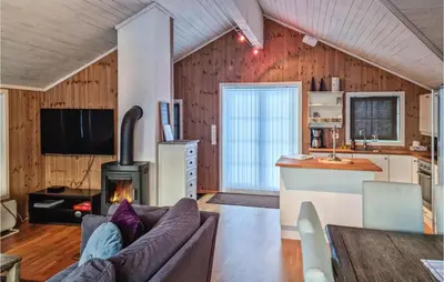 a living room with a couch and a fireplace at Beautiful Home In Hovden I Setesdal in Hovden