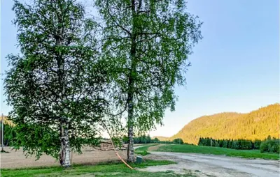 two trees on the side of a dirt road at Nice Home In Beitstad With Kitchen in Sunnan