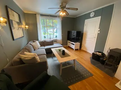 a living room with a couch and a table at Tveitopark Apartments A in Rjukan