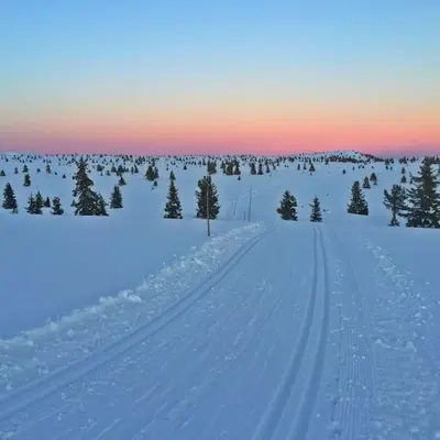 a snow covered road with trees and a sunset in the background at Golsfjellet - Bualie, milevis med sykkelveier, fiske og vannaktivitet, ski inn/ut til alpinanlegg og langrennsløyper. in Gol