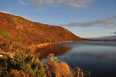 a person standing on a hill next to a lake at Golsfjellet - Bualie, milevis med sykkelveier, fiske og vannaktivitet, ski inn/ut til alpinanlegg og langrennsløyper. in Gol