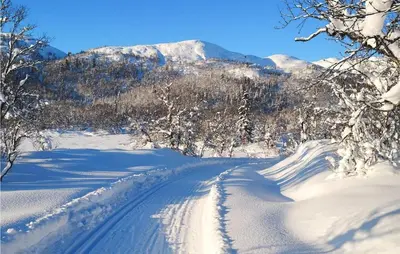 a snow covered road with a mountain in the background at Amazing Home In Åmotsdal With Kitchen in Åmotsdal