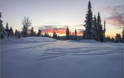 a snow covered road with trees and a sunset at Sjusjøvegen 1892 in Sjusjøen