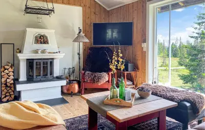 a living room with a fireplace and a tv at Sjusjøvegen 1892 in Sjusjøen