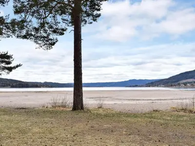 a tree in the middle of a beach at 8 person holiday home in HURDAL-By Traum in Hurdal