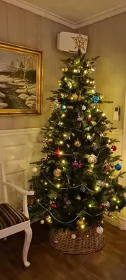 a christmas tree in the corner of a room at VILLA HASSELBAKKEN in Eidsvoll