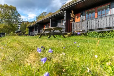 a field of purple flowers in front of a house at Beito Resort Hytter in Beitostøl