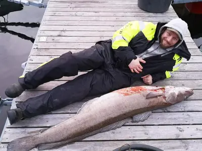 a man laying on a dock with a dead fish at 8 person holiday home in Ørskog-By Traum in Ørskog