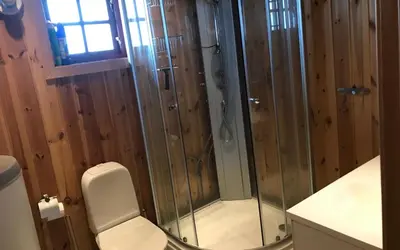 a bathroom with a shower and a toilet at Berghstua - Natrudstilen på Sjusjøen in Sjusjøen