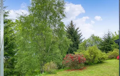 a tree in a yard with bushes and flowers at 3 Bedroom Awesome Home In Leikanger in Leikanger
