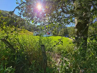 a view of a field with a tree and a house at Jondal Nice apartment with bed linen incuded in Jondal