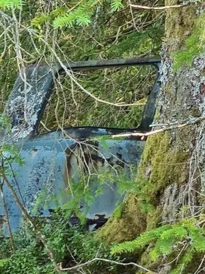 an old car is embedded in a tree at Jondal Nice apartment with bed linen incuded in Jondal