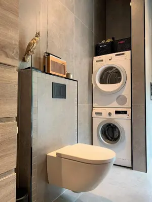a bathroom with a toilet and a washer and dryer at Nesje Gardstun in Oppstryn