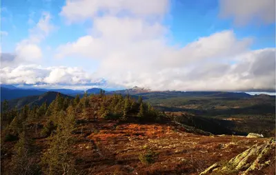 a view from the top of a mountain with trees at Lovely Home In Tuddal With Jacuzzi in Tuddal