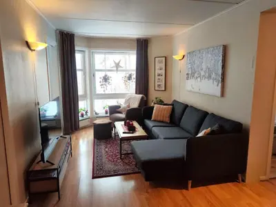 a living room with a couch and a tv at Actif 329 - apartment by Ål skisenter in Ål