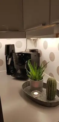 a kitchen counter with a coffee pot and a cactus at Sentralt 10 minutt med buss til Trondheim Sentrum in Trondheim