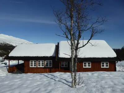 a cabin covered in snow with a tree in front at Ny hytte i flott turterreng in Nore