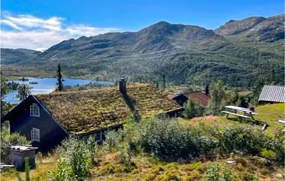 a house with grass on its roof with mountains in the background at Nice Home In Rjukan With Wifi in Rjukan