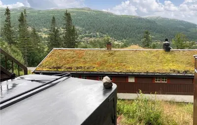 a cat sitting on the roof of a house at Nice Home In Rjukan With Wifi in Rjukan