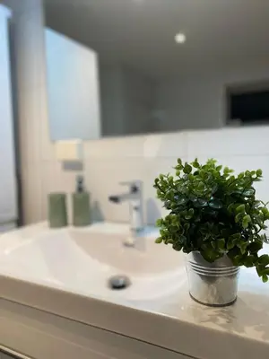 a potted plant sitting on a bathroom sink at Landlig beliggenhet med flott utsikt over Mjøsa in Ulven