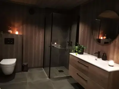 a bathroom with a shower and a toilet and a sink at Flott hytte sentralt i Hallingdal in Ål