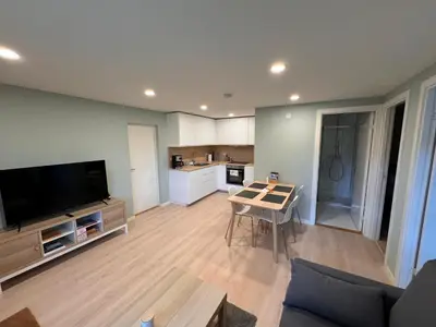 a living room with a tv and a table and a kitchen at Fjord studio in Sunde