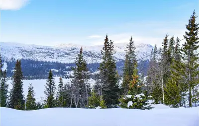 a group of trees in the snow with mountains at Cozy Home In Rjukan With Kitchen in Rjukan