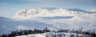 a mountain covered in snow with trees in the foreground at Flott leilighet i Vestlia - ski in/ski out in Geilo