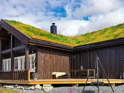 a house with a grassy hill on the roof at 10 person holiday home in Rauland-By Traum in Rauland