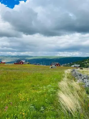 a field of green grass with buildings in the background at Seterhytte i Havsdalen in Geilo