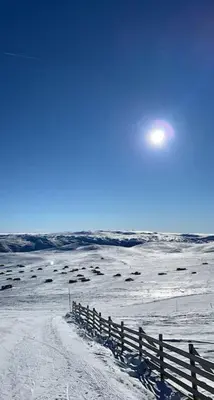 a fence on a beach with snow and the ocean at Seterhytte i Havsdalen in Geilo