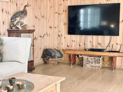 a living room with a tv and a turkey on the wall at Vasethytta - cabin with a lovely view in Ron