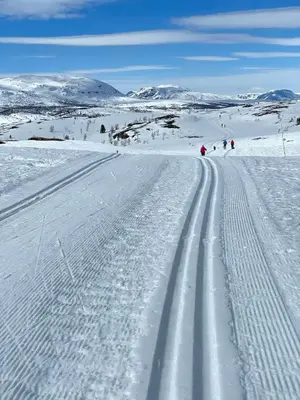 a group of people skiing down a snow covered road at Vasethytta - cabin with a lovely view in Ron