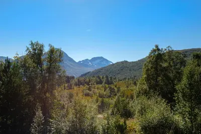a view of a forest with mountains in the background at Økslevegen 2 in Stranda