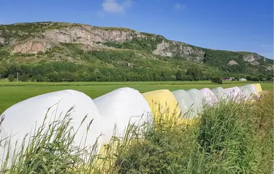 a row of domes in a field with a mountain at Pet Friendly Home In Roan in Moen