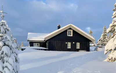 a black cabin in the snow with snow covered trees at Stunning Home In Sjusjøen With Sauna in Sjusjøen