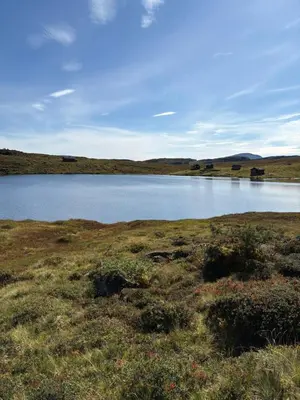 a large lake in the middle of a field at Fjelltun Lodge in Sogndal