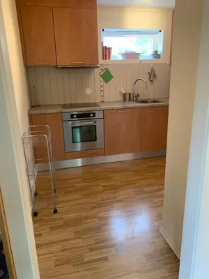 a kitchen with wooden cabinets and a cart in it at Hemsedal Ulsåk in Torset