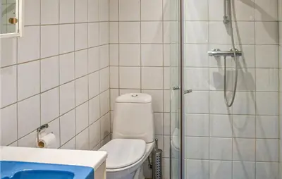 a bathroom with a toilet and a shower at Gorgeous Home In Hemsedal With Sauna in Hemsedal