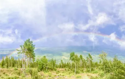 a rainbow in the sky over a forest of trees at Pet Friendly Home In Gol With Sauna in Gol