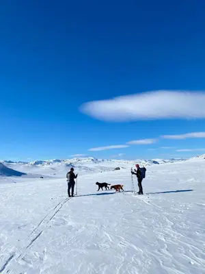 two people and two dogs on skis in the snow at Hyggelig leilighet i sentrum in Hemsedal